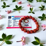Image showing a stretchable 5 Mukhi Rudraksha bracelet made with 11mm natural brown beads, arranged in a circle on a plain background