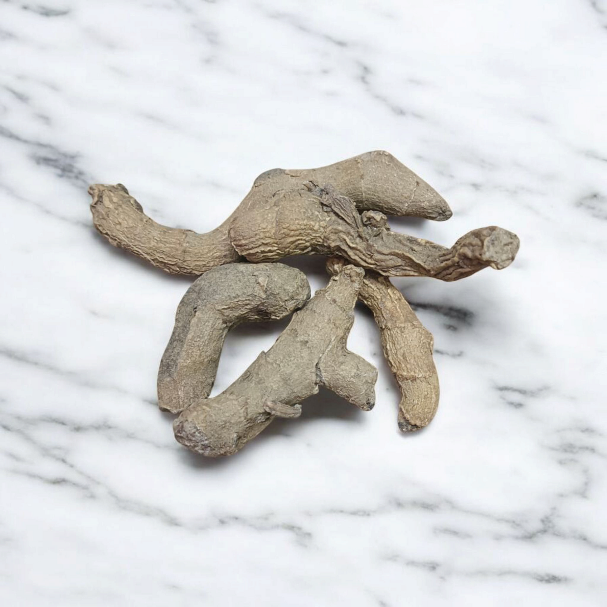 Kaali Haldi – Black Turmeric (Sabut Kaali Haldi) | Set of 5 for Remedies & Spiritual Use – Malawala