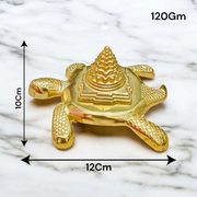 Kachua Shri Yantra | Meru Yantra On Tortoise | For Good Luck | Malawala |