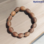 Kamal Gutta Bracelet - Natural Lotus Seed Beads for Spiritual Growth & Divine Blessings with Lab Certificate - Malawala