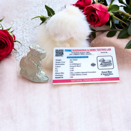 Lab-certified Natural Parad Nandi idol handcrafted in pure mercury, resting posture, spiritual décor for temples