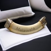 Lab-certified Shukar Dant (Wild Boar Tooth) pendants in silver caps, available in C-shape, U-shape, and baby sizes for protection and business success