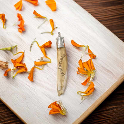Lab-certified Shukar Dant (Wild Boar Tooth) pendants in silver caps, available in C-shape, U-shape, and baby sizes for protection and business success