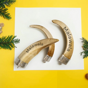 Lab-certified Shukar Dant (Wild Boar Tooth) pendants in silver caps, available in C-shape, U-shape, and baby sizes for protection and business success