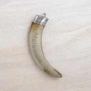 Lab-certified Shukar Dant (Wild Boar Tooth) pendants in silver caps, available in C-shape, U-shape, and baby sizes for protection and business success