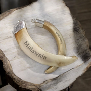 Lab-certified Shukar Dant (Wild Boar Tooth) pendants in silver caps, available in C-shape, U-shape, and baby sizes for protection and business success