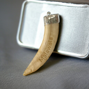 Lab-certified Shukar Dant (Wild Boar Tooth) pendants in silver caps, available in C-shape, U-shape, and baby sizes for protection and business success