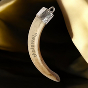 Lab-certified Shukar Dant (Wild Boar Tooth) pendants in silver caps, available in C-shape, U-shape, and baby sizes for protection and business success