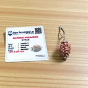 Lab certified pendant featuring 3 Mukhi and 5 Mukhi Rudraksha beads set in a polished metal cap design, used for spiritual transformation and protection