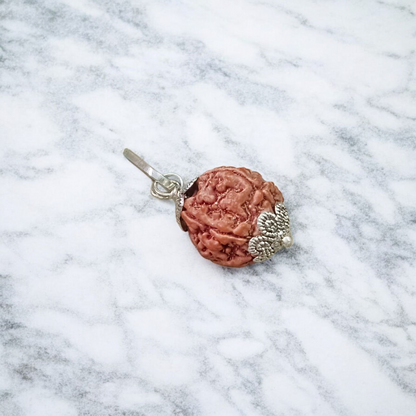 Lab certified pendant featuring 3 Mukhi and 5 Mukhi Rudraksha beads set in a polished metal cap design, used for spiritual transformation and protection