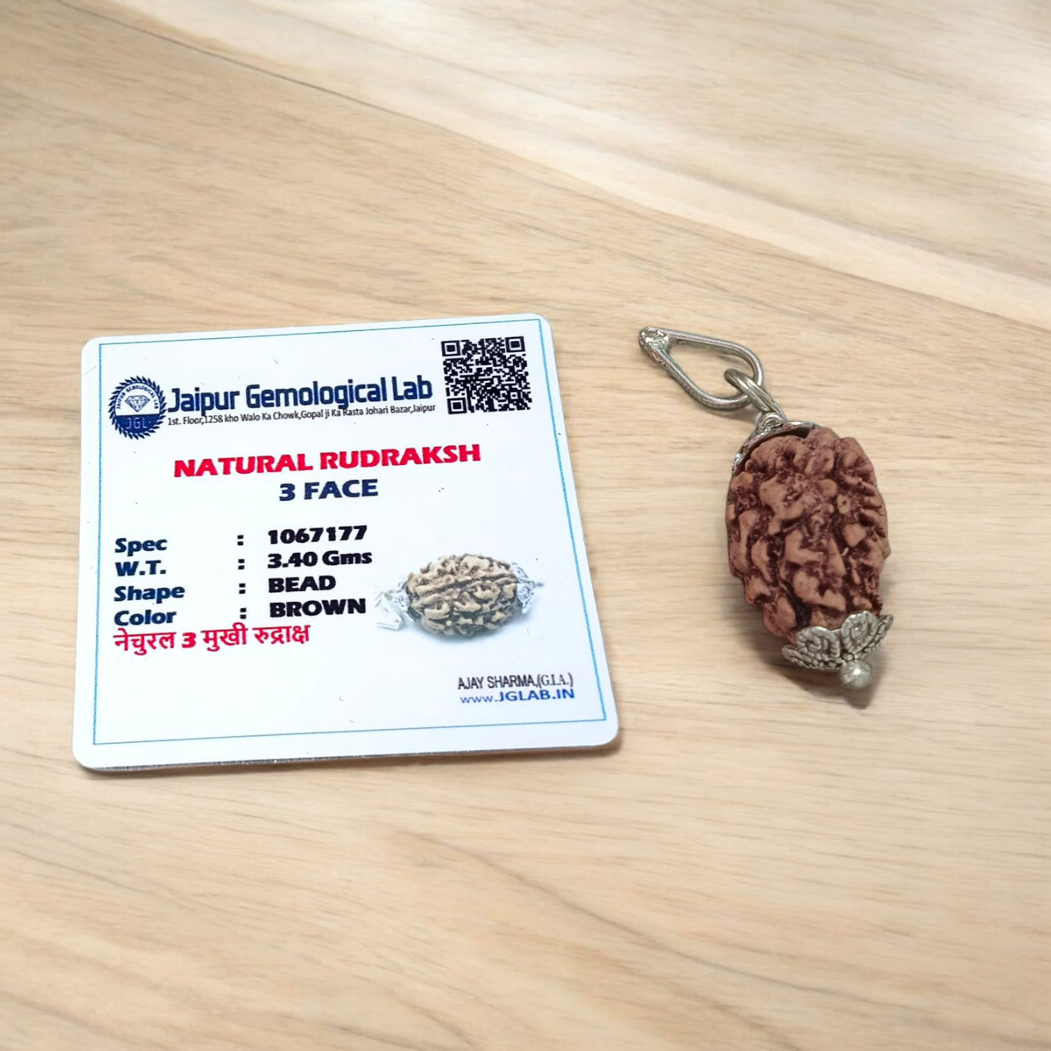 Lab certified pendant with 2 Mukhi and 3 Mukhi Rudraksha beads set in metal caps, symbolizing emotional balance and inner power