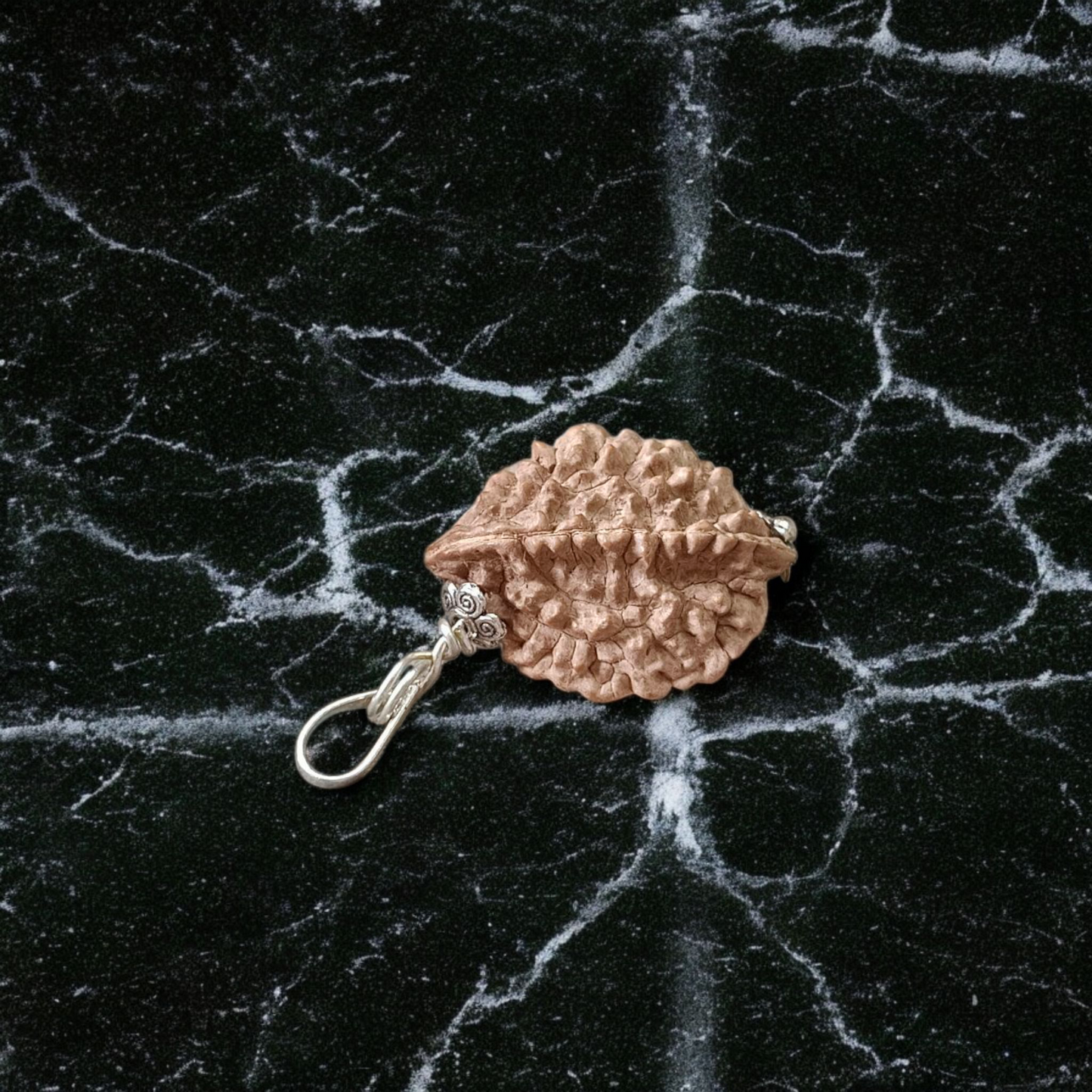 Lab certified pendant with 2 Mukhi and 3 Mukhi Rudraksha beads set in metal caps, symbolizing emotional balance and inner power