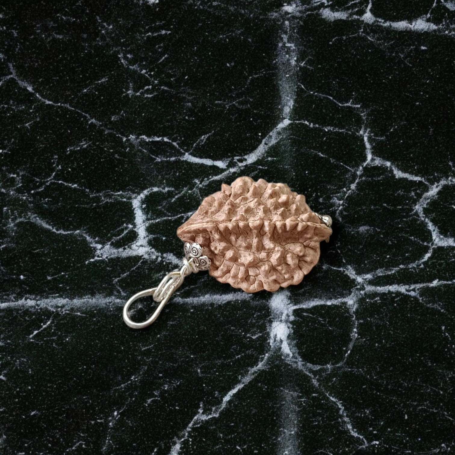 Lab certified pendant with 2 Mukhi and 3 Mukhi Rudraksha beads set in metal caps, symbolizing emotional balance and inner power