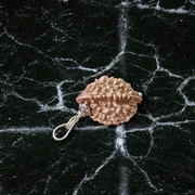 Lab certified pendant with 2 Mukhi and 3 Mukhi Rudraksha beads set in metal caps, symbolizing emotional balance and inner power