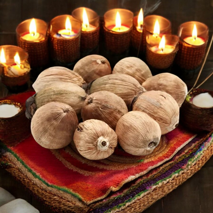 Lagu Nariyal – Set of 8 | Sacred Small Coconut for Hawan, Pujan & Rituals – Malawala