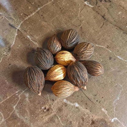 Lakshmi Nariyal Tantrokt Puja Coconut for Lakshmi Puja, prosperity and spiritual protection