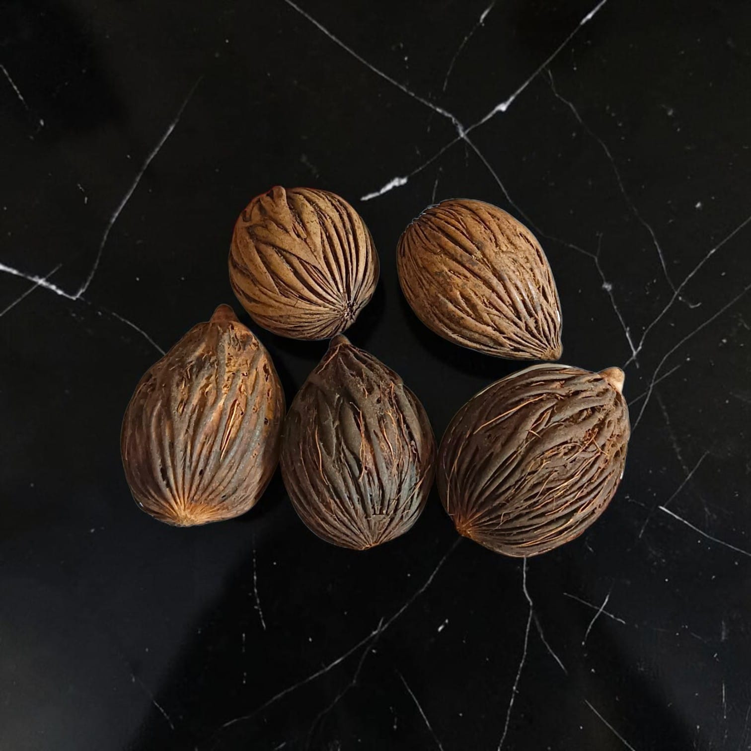 Lakshmi Nariyal Tantrokt Puja Coconut for Lakshmi Puja, prosperity and spiritual protection