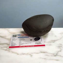 Laxmi Narayan Shaligram – Lab Certified Sacred Stone for Vishnu & Lakshmi Blessings, Wealth & Harmony – Malawala