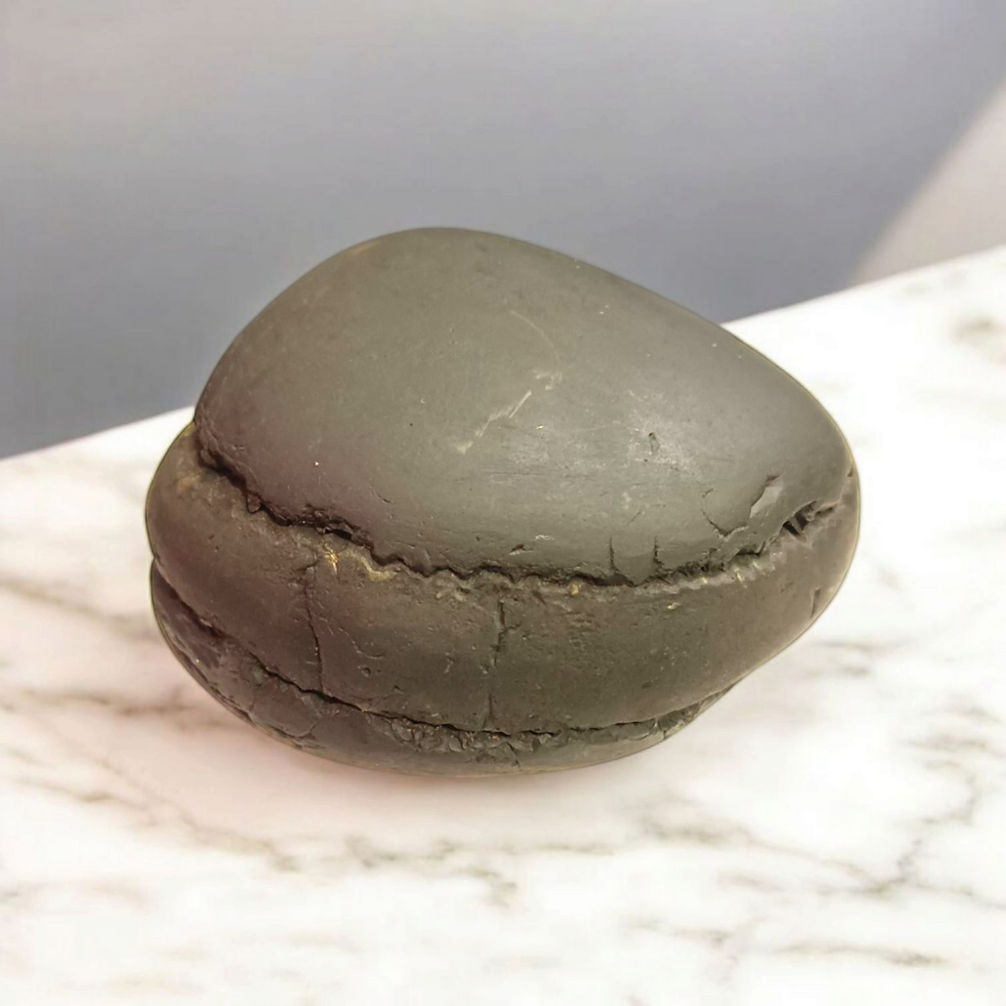 Laxmi Narayan Shaligram – Lab Certified Sacred Stone for Vishnu & Lakshmi Blessings, Wealth & Harmony – Malawala