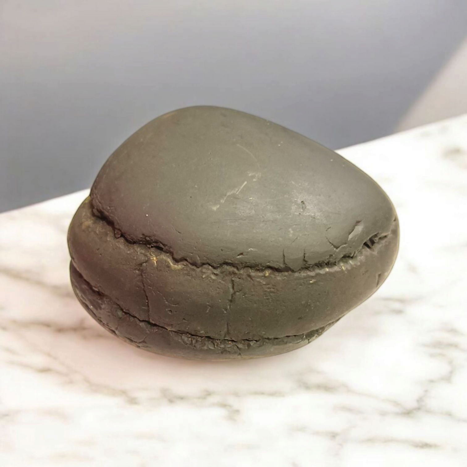 Laxmi Narayan Shaligram – Lab Certified Sacred Stone for Vishnu & Lakshmi Blessings, Wealth & Harmony – Malawala