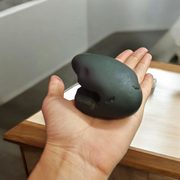 Laxmi Narayan Shaligram – Lab Certified Sacred Stone for Vishnu & Lakshmi Blessings, Wealth & Harmony – Malawala