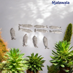 Lead Fish – Ranga Machhli for Lal Kitab Remedies & Vastu Dosh Nivaran – Malawala