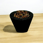 Loban Dhoop Cup – 12 Pcs 100% Organic & Natural - Malawala