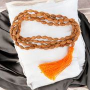 Natural 2 Mukhi Rudraksha Mala with 27+1 and 108+1 bead options, used for unity and relationships, from Malawala with lab certificate