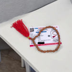Natural 2 Mukhi Rudraksha Mala with 27+1 and 108+1 bead options, used for unity and relationships, from Malawala with lab certificate