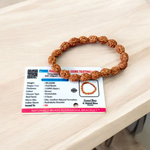 Natural 3 Mukhi Rudraksha Bracelet with 11mm Beads – Stretchable and Lab Certified Spiritual Accessory