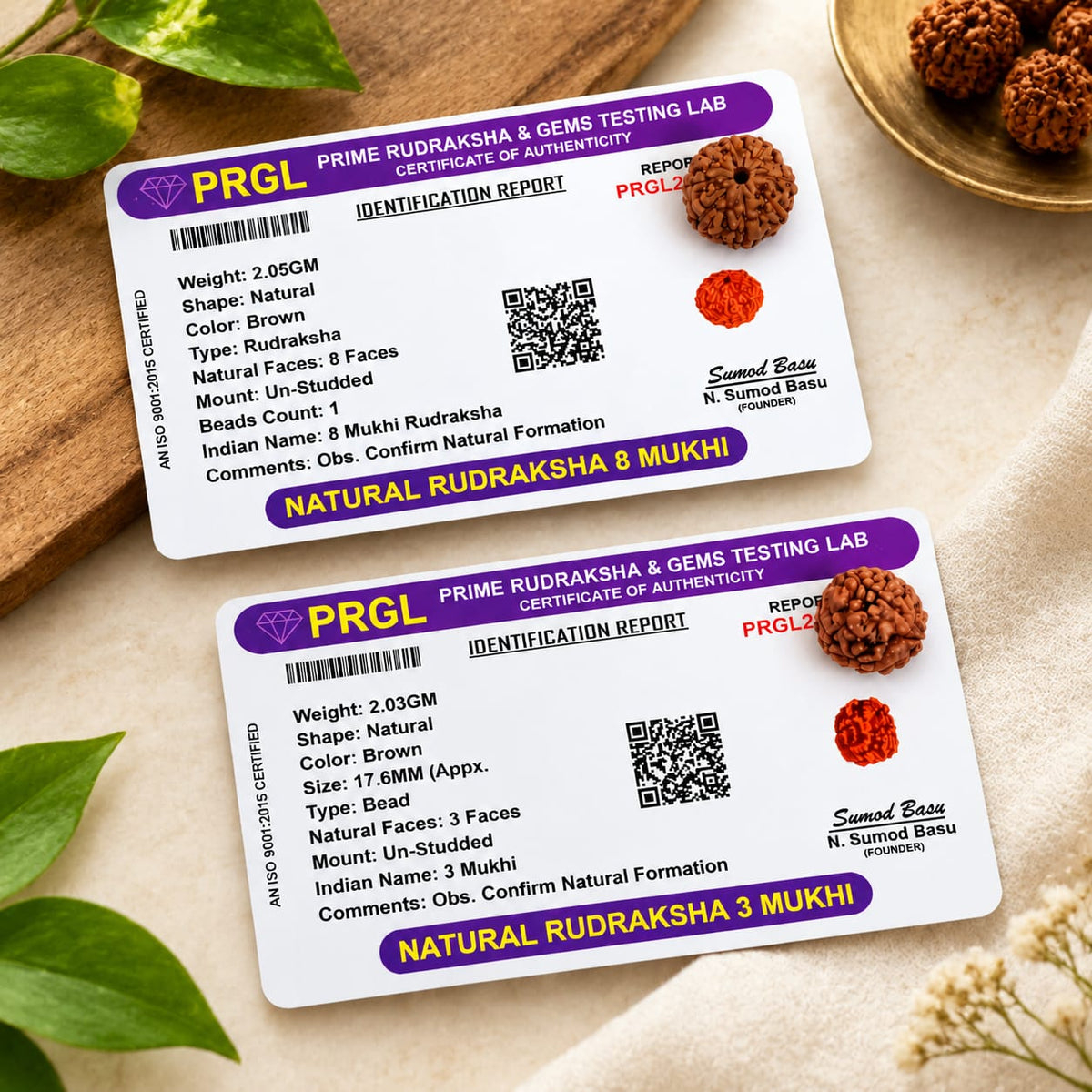 Natural 3 Mukhi and 8 Mukhi Rudraksha combo lab certified spiritual beads for meditation, wisdom, confidence and prosperity by Malawala