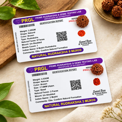 Natural 3 Mukhi and 8 Mukhi Rudraksha combo lab certified spiritual beads for meditation, wisdom, confidence and prosperity by Malawala