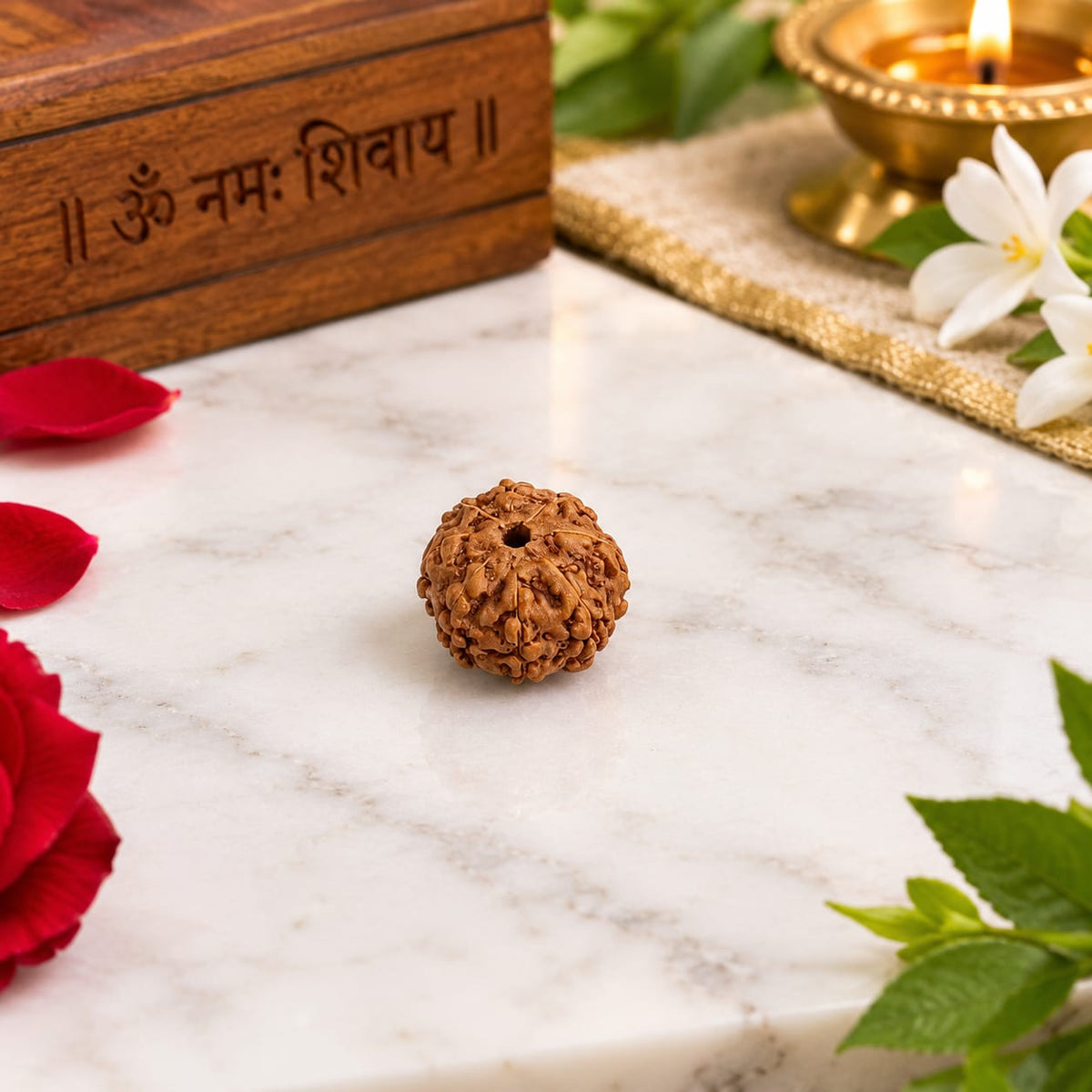 Natural 3 Mukhi and 8 Mukhi Rudraksha combo lab certified spiritual beads for meditation, wisdom, confidence and prosperity by Malawala