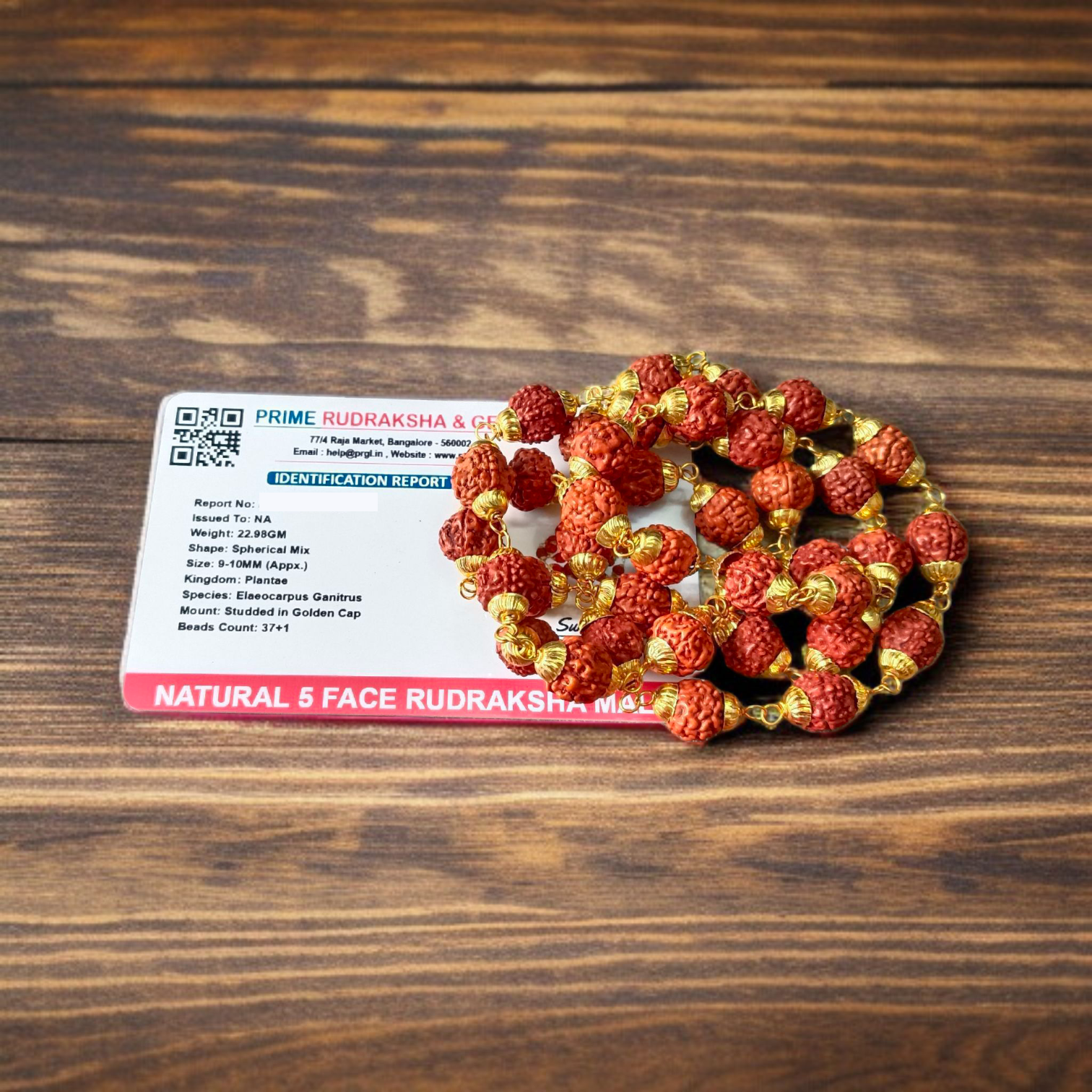 Natural 5 Face Rudraksha Mala with 37+1 golden-capped 9mm beads, handcrafted and lab-certified for meditation and daily wear