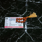 Natural 5 Mukhi Rudraksha Finger Mala with 9+1 handcrafted 8mm beads, ideal for meditation, chanting, puja, and daily spiritual healing