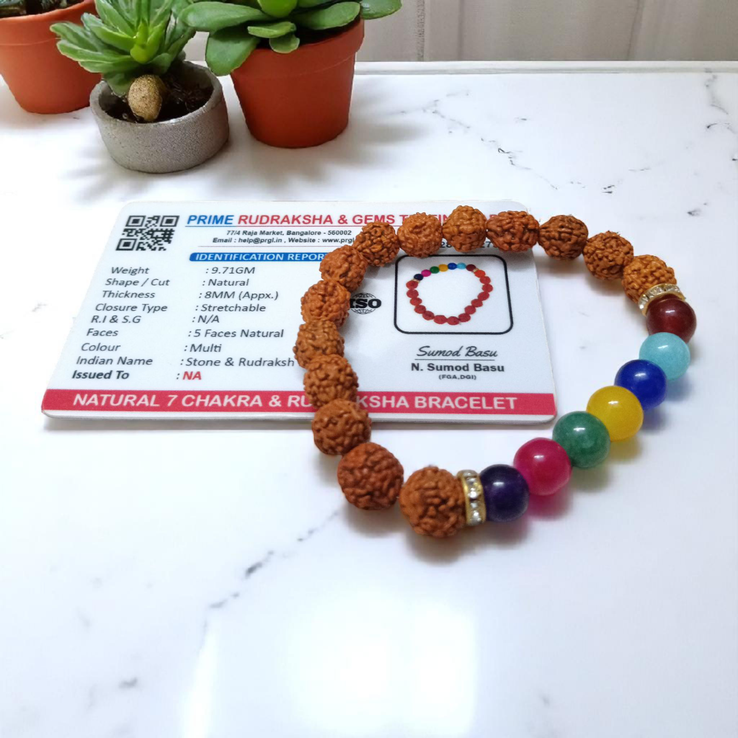 Natural 7 Chakra & Rudraksha Bracelet Combo – Lab Certified 8MM Beads | Malawala