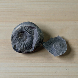 Natural Chakra Shaligram stone used for daily Vishnu worship and Vedic pooja