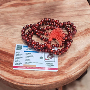 Natural Red Sandalwood Mala & Bracelet Combo – Lab Certified – Malawala