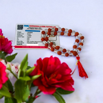 Natural Rudraksha and Sphatik crystal mala with 54+1 hand-strung 7-8mm beads, alternating design, placed on a plain background