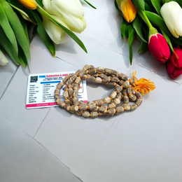 Natural Tulsi Kantha Mala with large round beads, arranged neatly with a central Guru bead on a wooden background