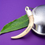 Natural owl nail (Ullu Nakhun) enclosed in a handcrafted silver locket pendant used for protection, vashikaran, and court case upay
