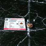 Natural unstudded Chandra Mani gemstone – lab certified moonstone ideal for meditation and spiritual rituals