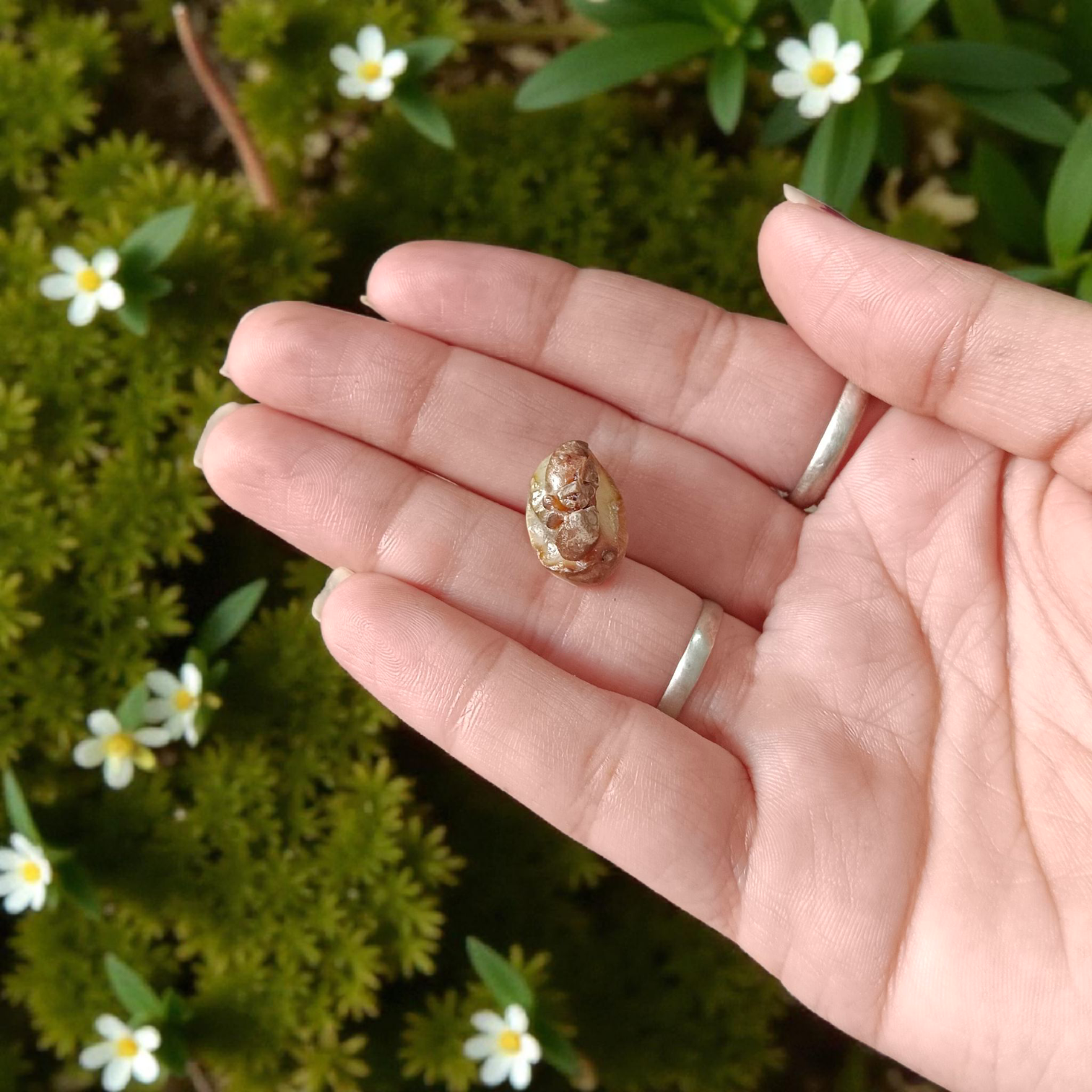 Natural unstudded Chandra Mani gemstone – lab certified moonstone ideal for meditation and spiritual rituals
