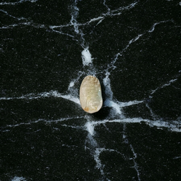 Natural unstudded Shukra Mani gemstone by MALAWALA – lab certified, polished, ideal for meditation, astrology, and rituals