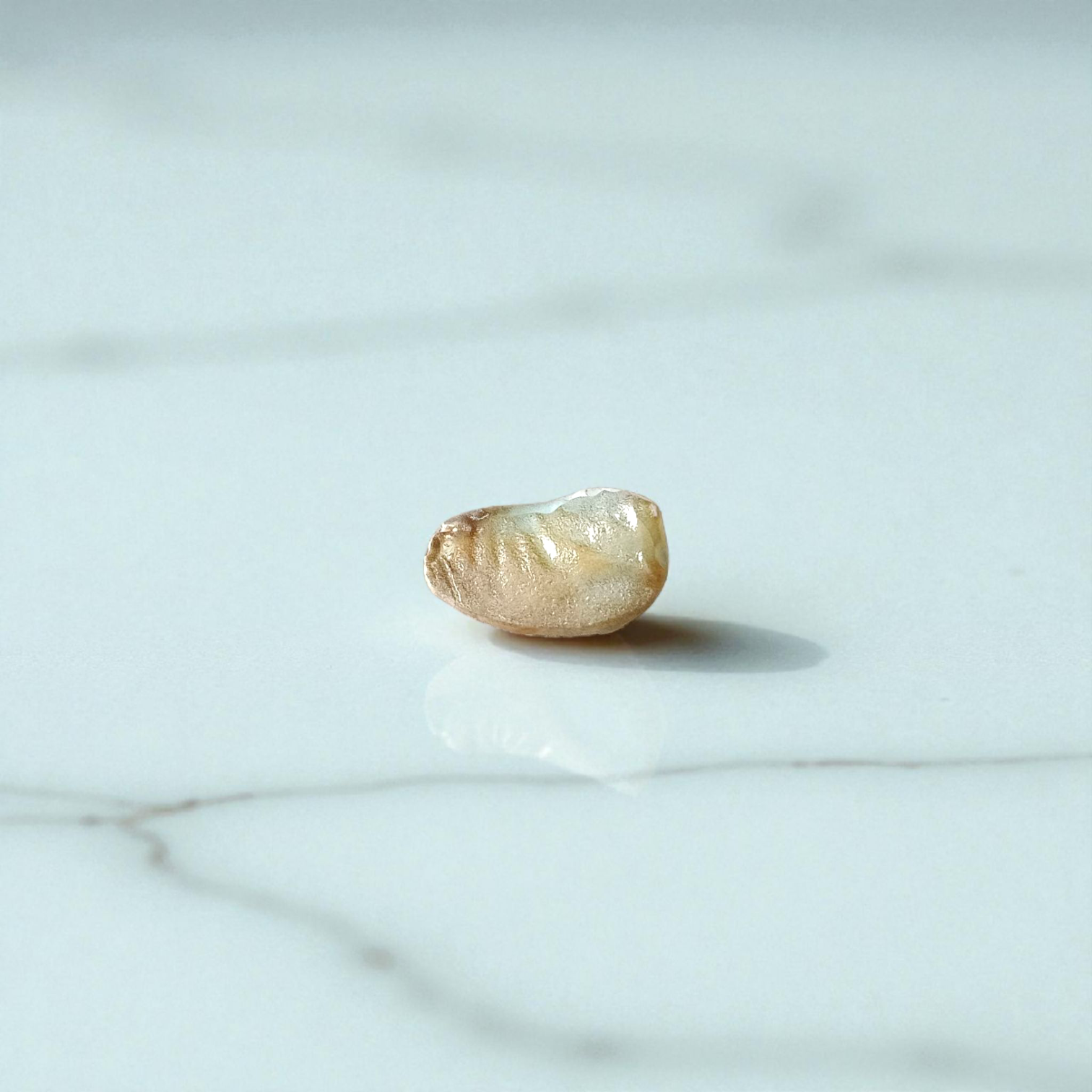 Natural unstudded Shukra Mani gemstone by MALAWALA – lab certified, polished, ideal for meditation, astrology, and rituals