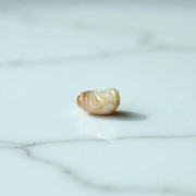 Natural unstudded Shukra Mani gemstone by MALAWALA – lab certified, polished, ideal for meditation, astrology, and rituals