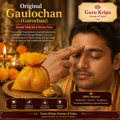 Original Gaulochan Gorochan for Traditional Puja, Tilak, Tantra and Sadhana Ritual Use by Malawala