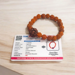 Original Panchmukhi Rudraksha Bracelet | AAA Grade Hand-sorted Rudraksha Stretchable Bracelet | Unisex – Malawala