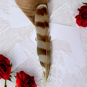Owl Feather - Original Ullu Ka Pankh - Oolu Pankh Upay Ke Liye - Original Owl Feather for Remedies - Malawala