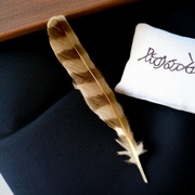 Owl Feather - Original Ullu Ka Pankh - Oolu Pankh Upay Ke Liye - Original Owl Feather for Remedies - Malawala